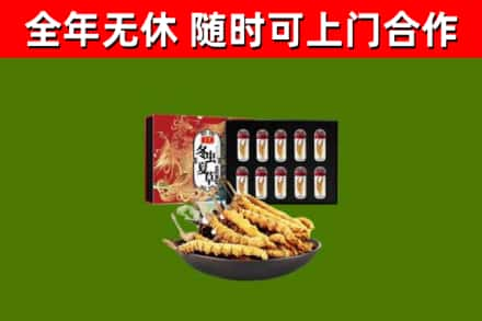 阳高回收冬虫夏草价格